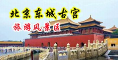 淫荡SM强奸爆插中国北京-东城古宫旅游风景区